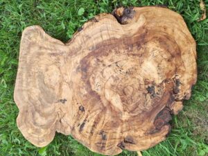 Spalted Maple Burl Lazy Susan