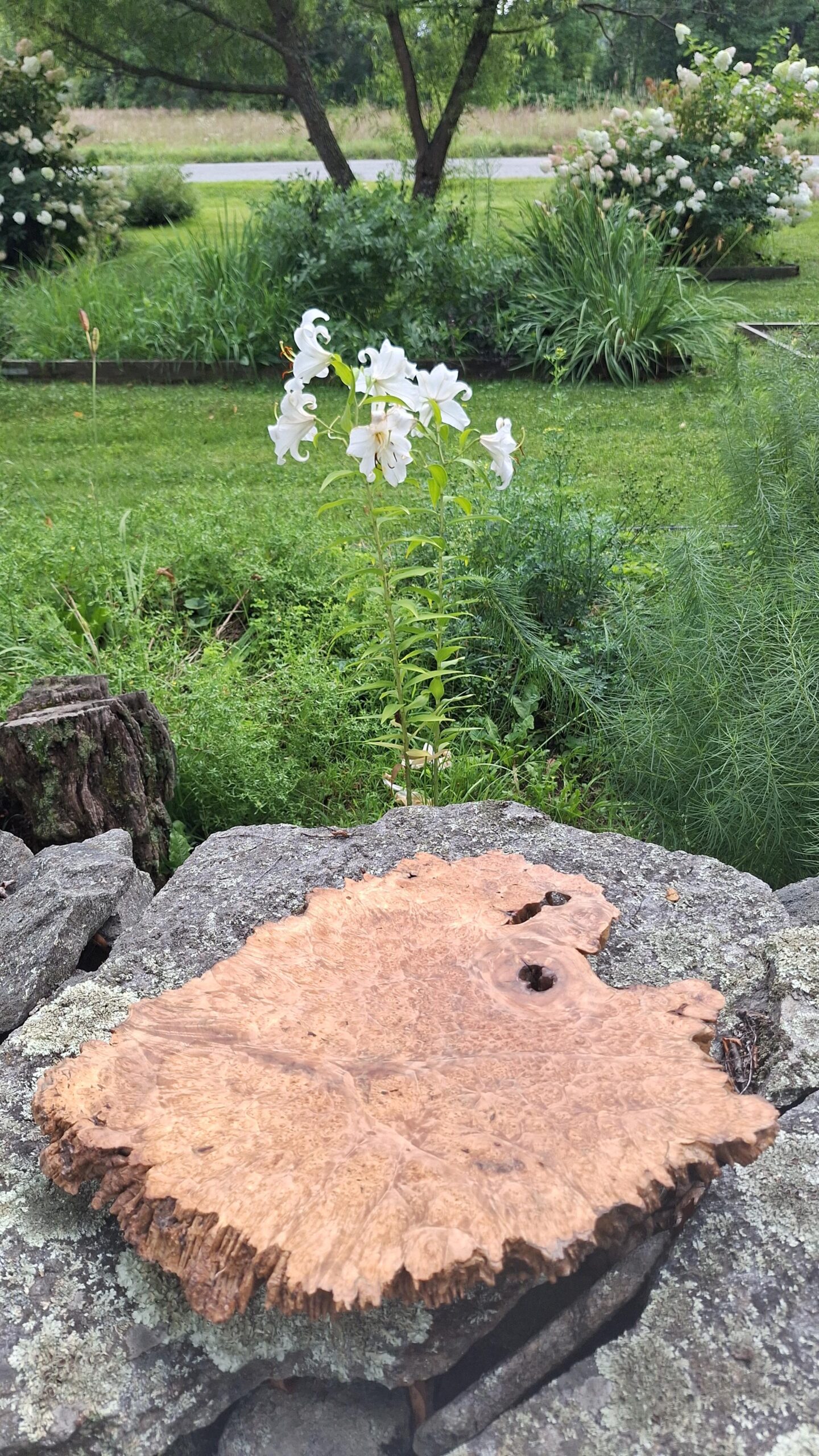 Birdseye Maple Burl Lazy Susan